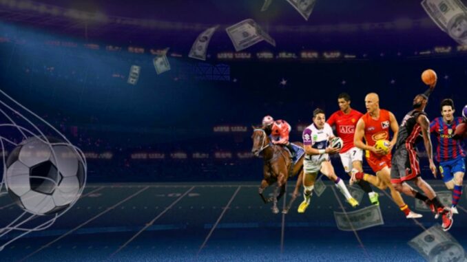 sport sazky